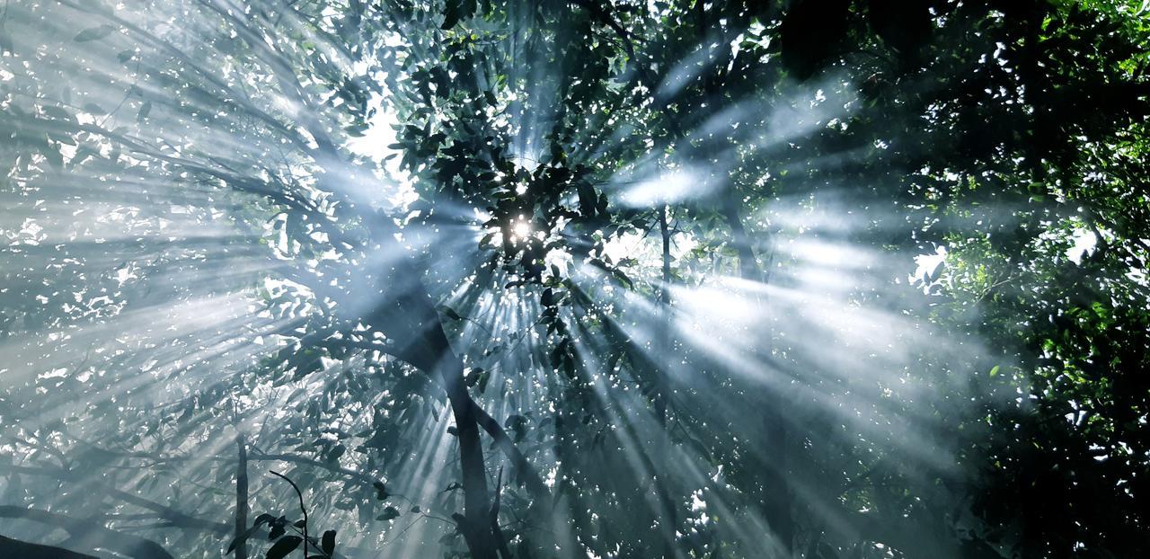 Хостел Jungle Republic Ко-Ронг-Самлоем Екстер'єр фото